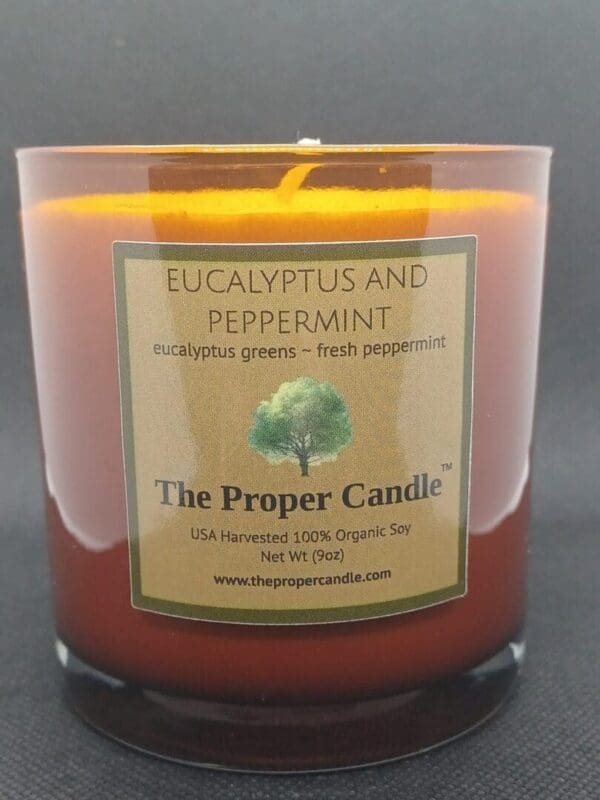 Eucalyptus and peppermint candle