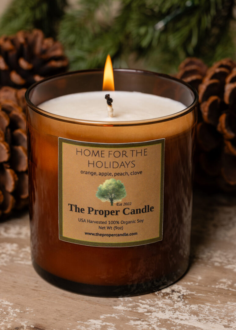 Home for the Holidays