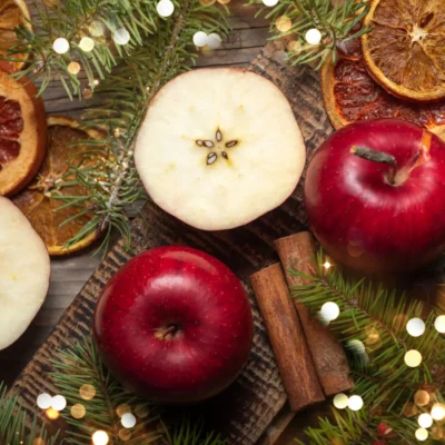 Home for the Holidays